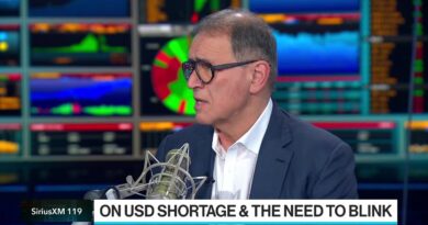 Roubini Says the Fed Will ‘Wimp Out’ on Rates