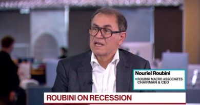 Roubini Sees 25% Drop for S&P 500 in Severe Recession