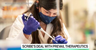 Scribe Inks CRISPR Gene-Editing Deal with Prevail