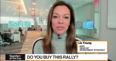 SoFi’s Young Cautions Investors About Stock Market Rally