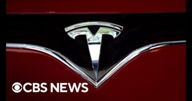 Tesla stock plummets as Elon Musk considers slashing prices on some vehicles