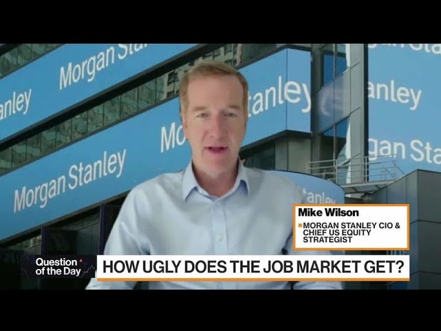 Stocks Too Preoccupied With Fed: Morgan Stanley’s Wilson