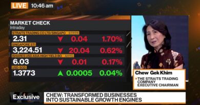 Straits Trading Sees New Opportunities in Japan: Chew