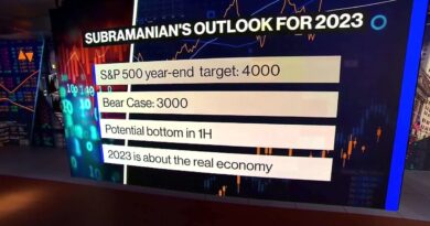 This Is Not the Time to Be Out of Equities: Subramanian