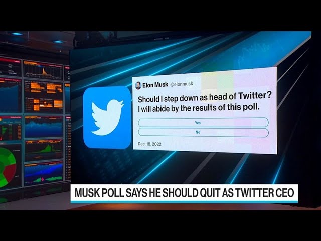 Twitter Users Say Elon Musk Should Step Down as CEO