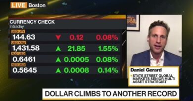 U.S. Dollar Looks Like the Asset to Hold Right Now, State Street Says