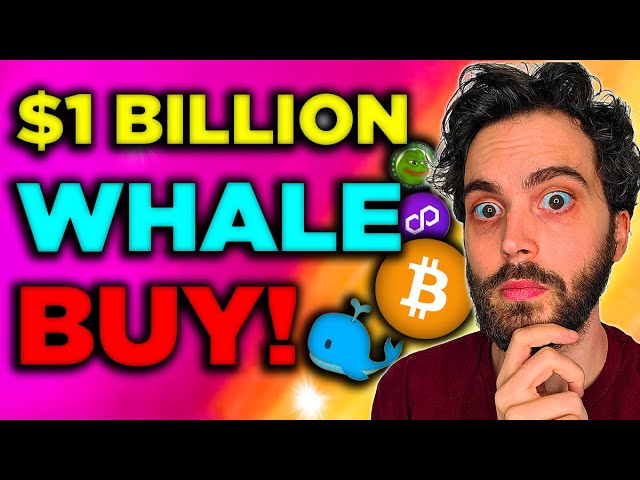 WHALE ALERT:  Billion Bitcoin REVEALED! PEPE is OVER!? (Crypto News)