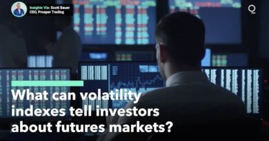 What Insights Can Volatility Indexes Offer About Risk?