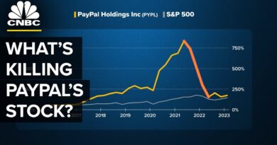 What’s Killing Paypal’s Growth?