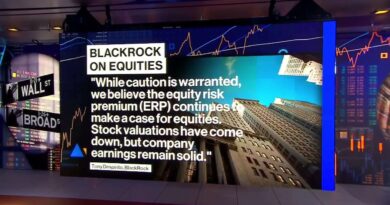 Why BlackRock’s Despirito Is Bullish on Healthcare