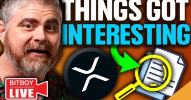 XRP Hinman Email Bombshell (Bitcoin Bull Market Pattern Takes Shape)