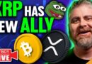 XRP MAJOR New Ally! (PEPE Hits ANOTHER All Time High!)