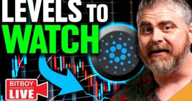 .5 BILLION Cardano Activity! (CRUCIAL Bitcoin Levels to Watch)