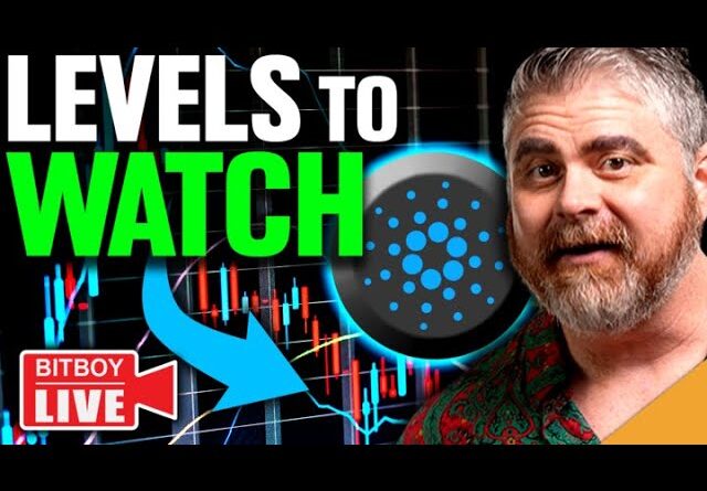 .5 BILLION Cardano Activity! (CRUCIAL Bitcoin Levels to Watch)