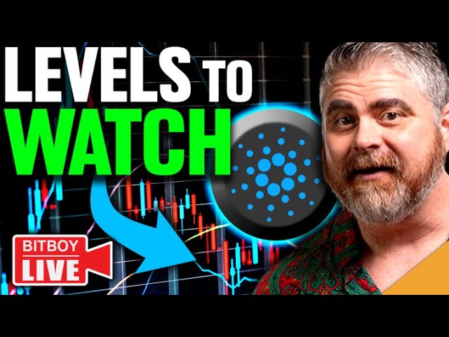 .5 BILLION Cardano Activity! (CRUCIAL Bitcoin Levels to Watch)