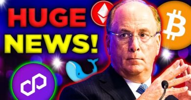 BlackRock CEO Larry Fink is a SECRET POLYGON CRYPTO WHALE! 🐳