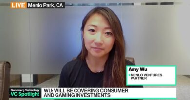 FTX Past Was No Obstacle to Joining Menlo Ventures: Amy Wu