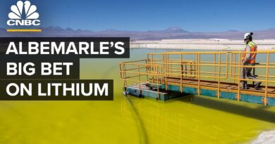 How Lithium Producer Albemarle Took Over The EV Industry