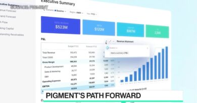 Pigment Makes AI Part of Business Planning for Clients