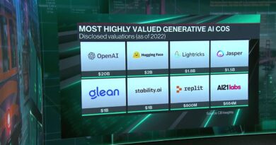 The Winners and Losers of the AI Race