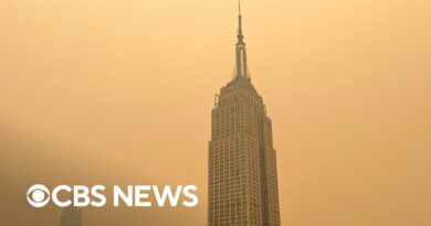 Wildfire smoke from Canada takes economic toll in U.S.